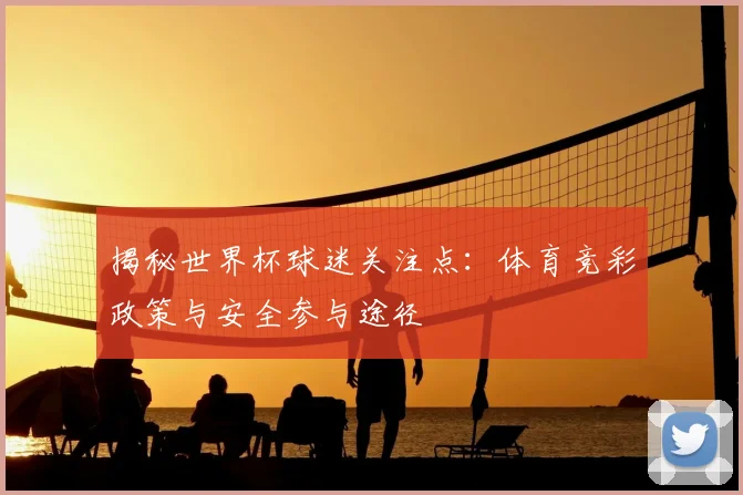 揭秘世界杯球迷关注点：体育竞彩政策与安全参与途径