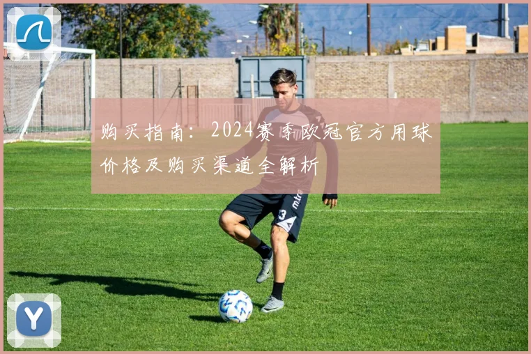 购买指南：2024赛季欧冠官方用球价格及购买渠道全解析