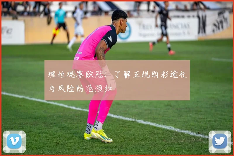 理性观赛欧冠：了解正规购彩途径与风险防范须知